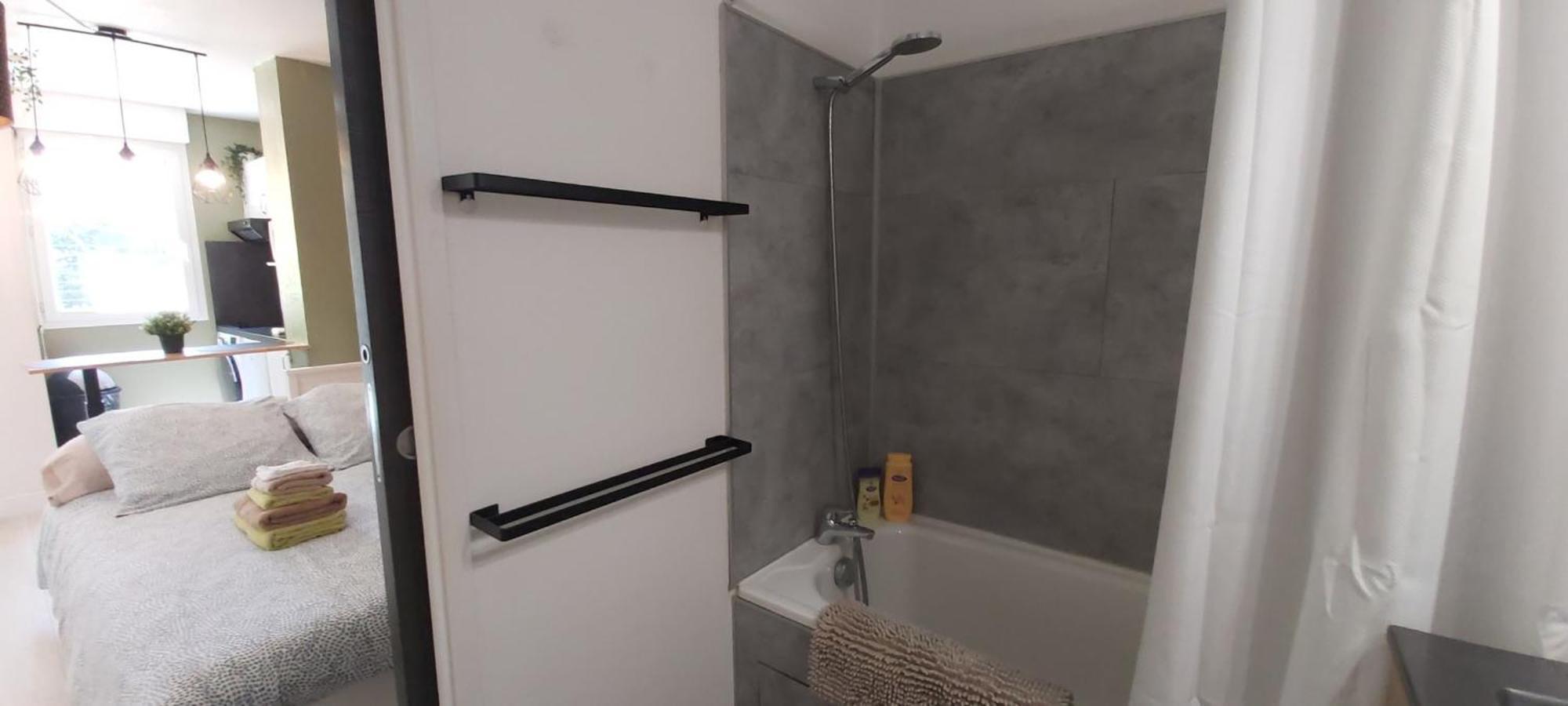 Les Elfes - Avec Entree Autonome, Clim Neuve, Jardin, Parking Prive & Gourmandises Offertes ! - Daire Toulouse Dış mekan fotoğraf