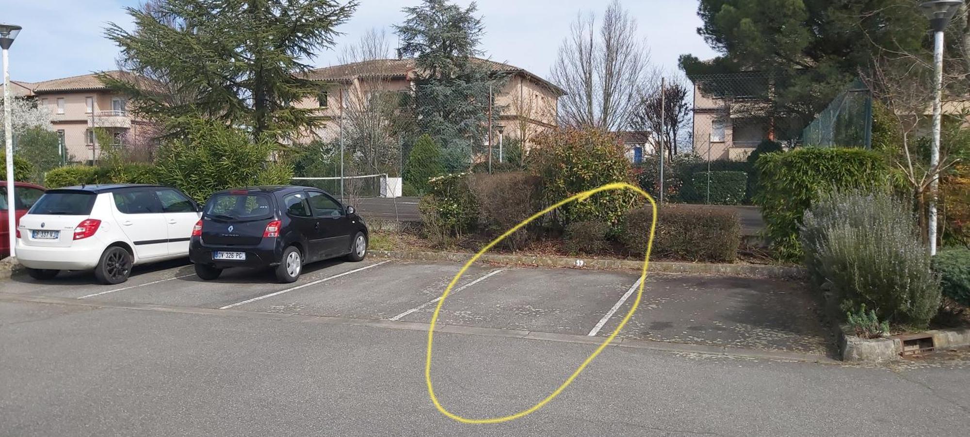 Les Elfes - Avec Entree Autonome, Clim Neuve, Jardin, Parking Prive & Gourmandises Offertes ! - Daire Toulouse Dış mekan fotoğraf