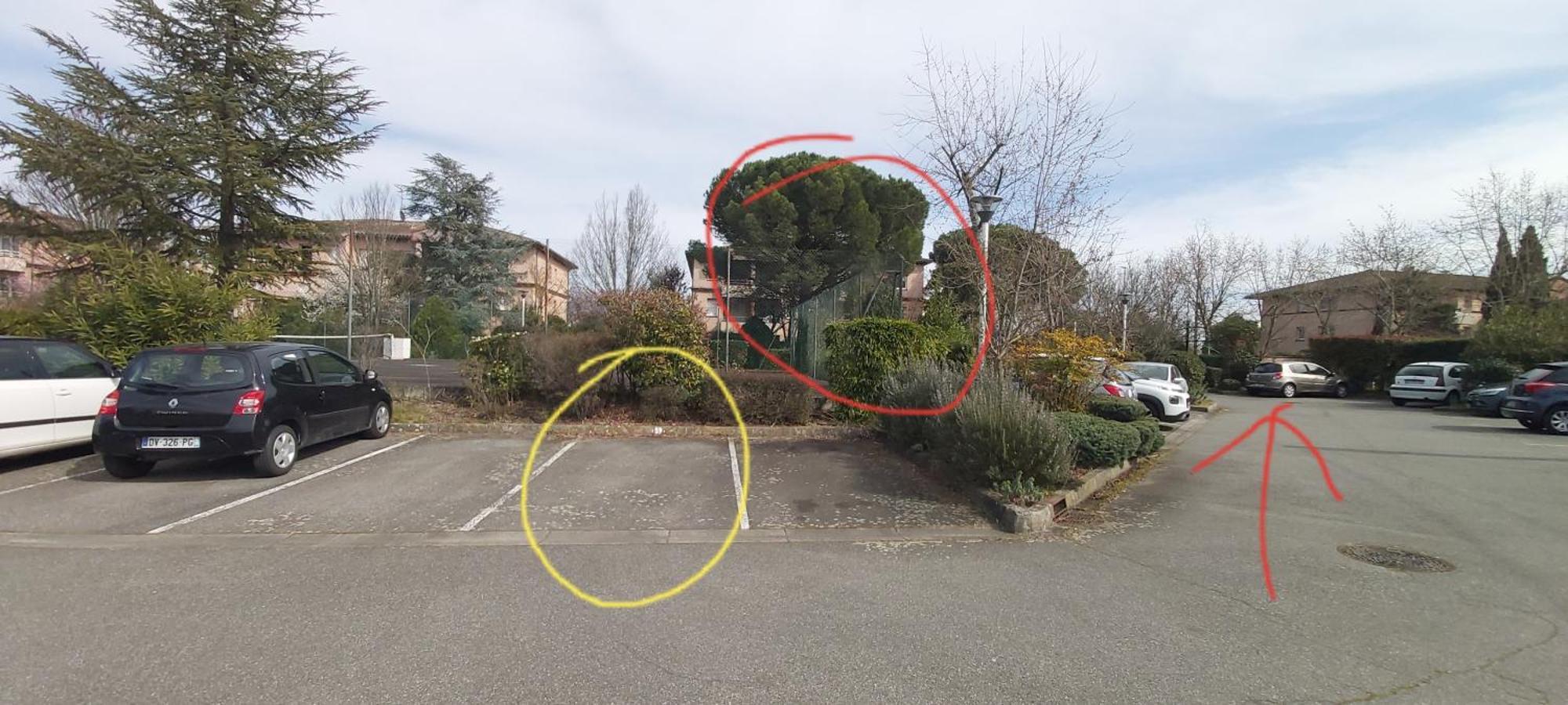 Les Elfes - Avec Entree Autonome, Clim Neuve, Jardin, Parking Prive & Gourmandises Offertes ! - Daire Toulouse Dış mekan fotoğraf